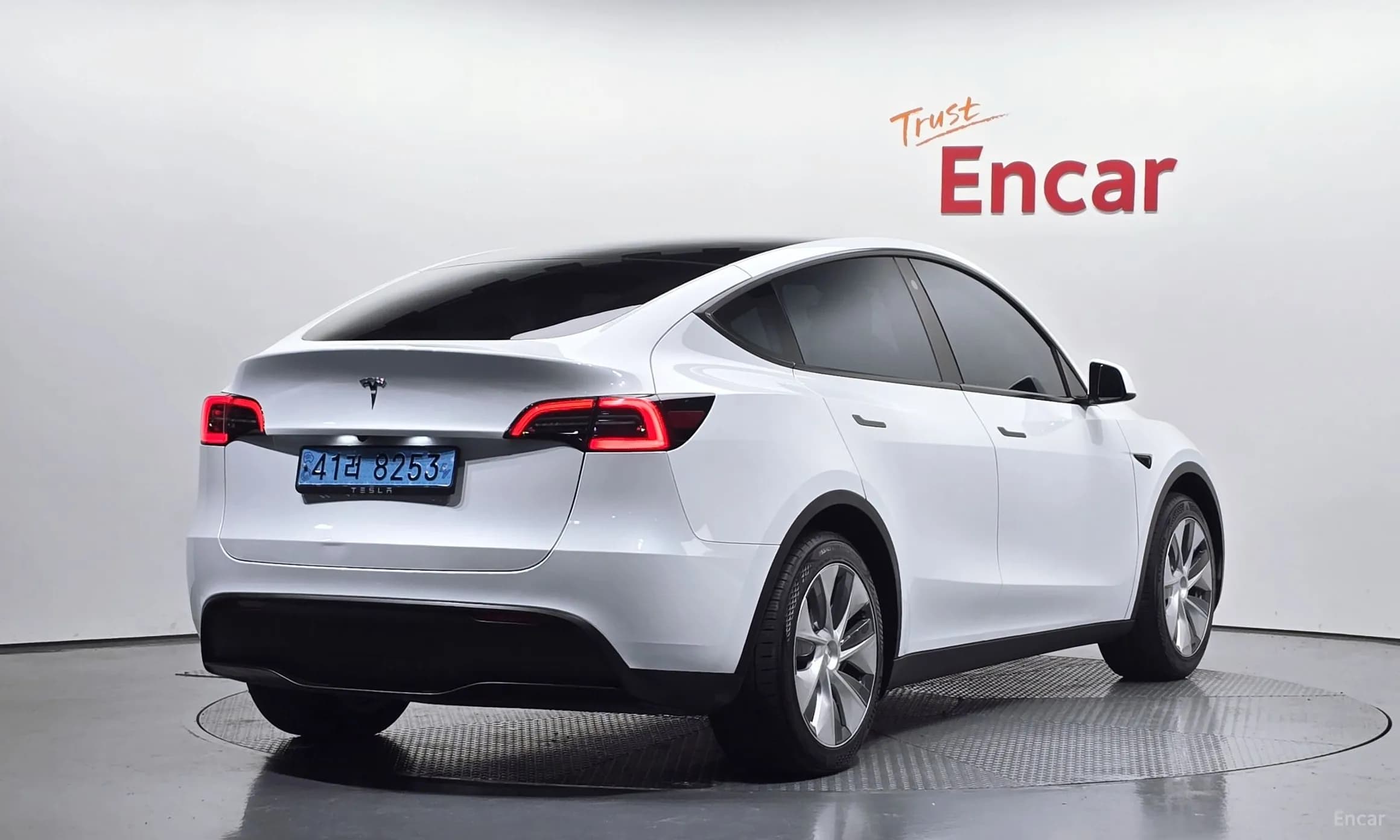 Model Y