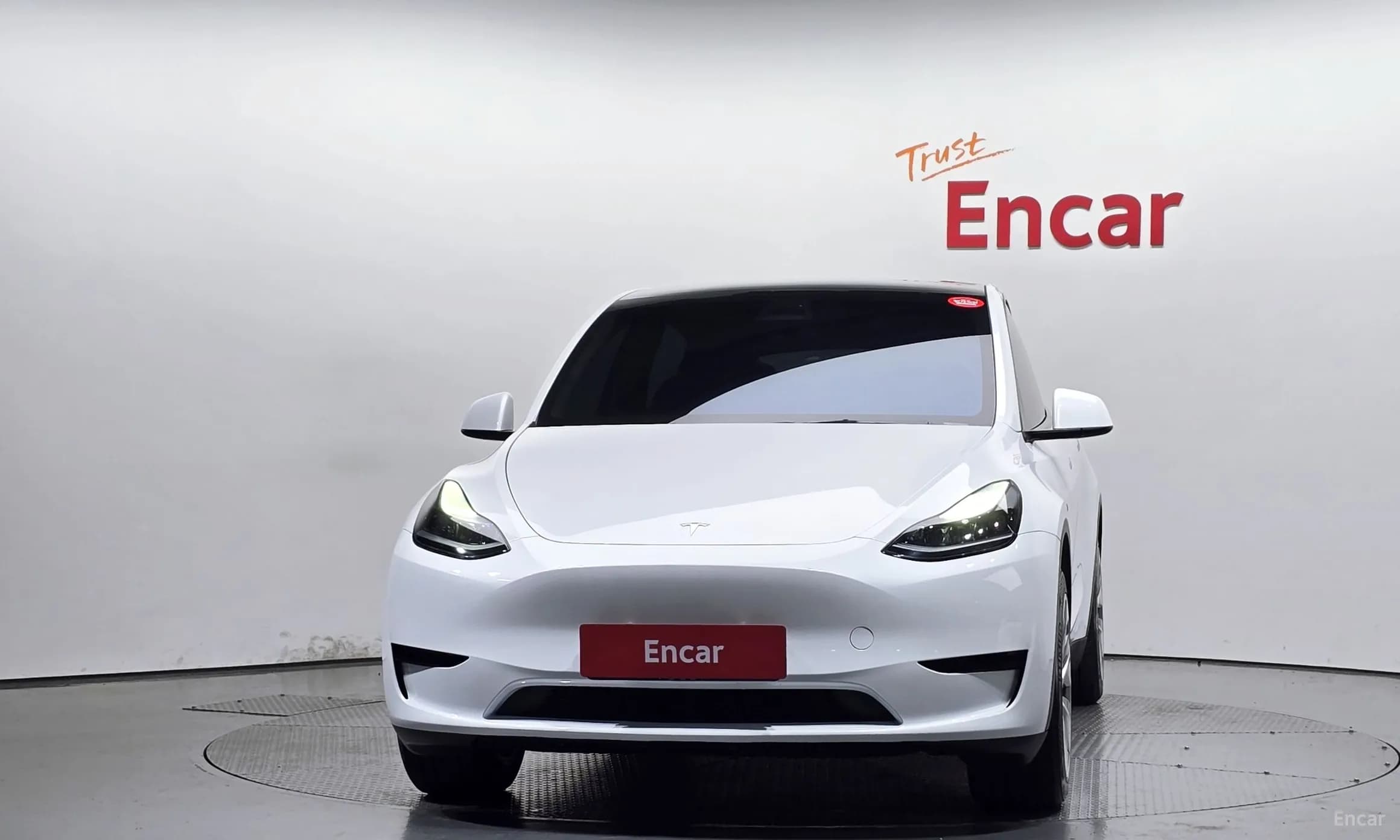 Model Y
