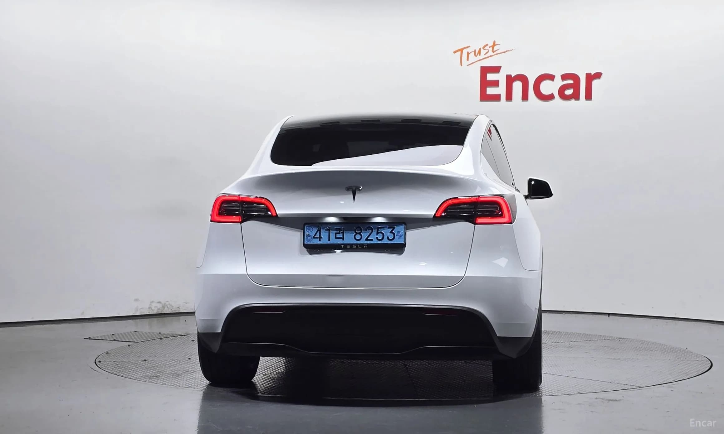 Model Y