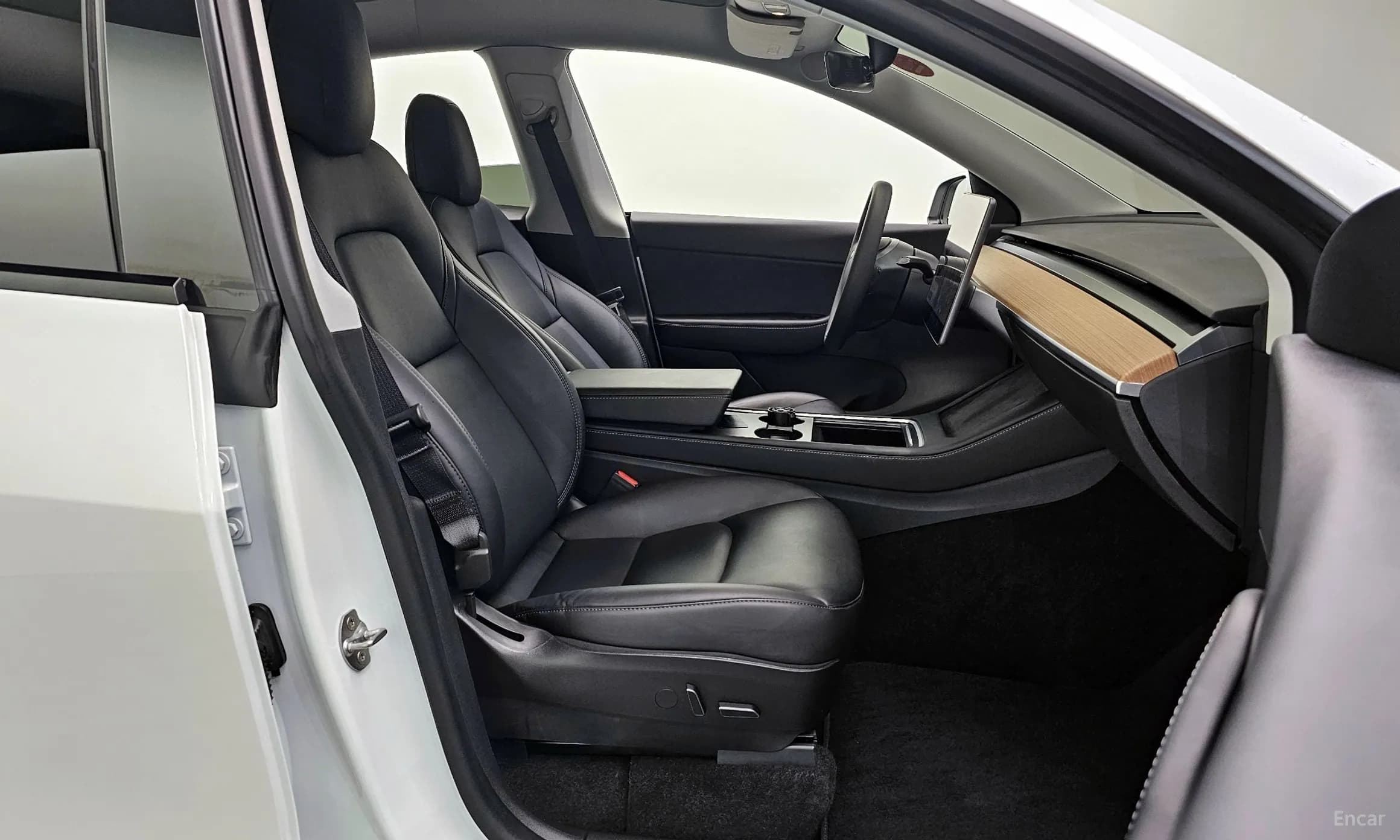 Model Y