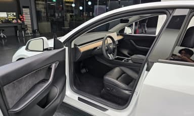 Model Y