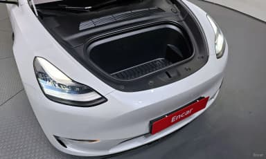 Model Y