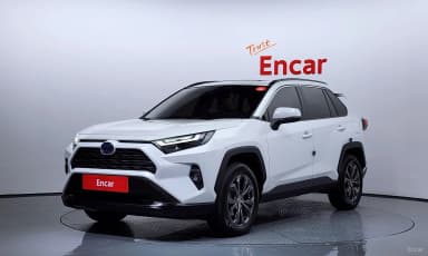 RAV4 5th Generation