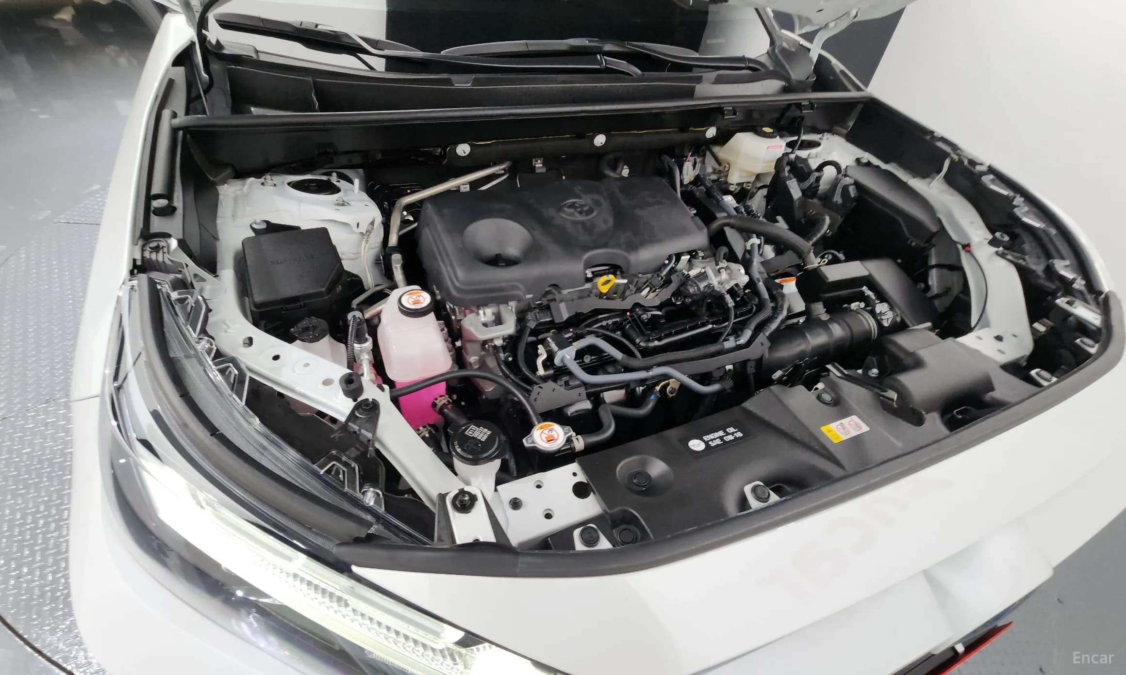 RAV4 5th Generation