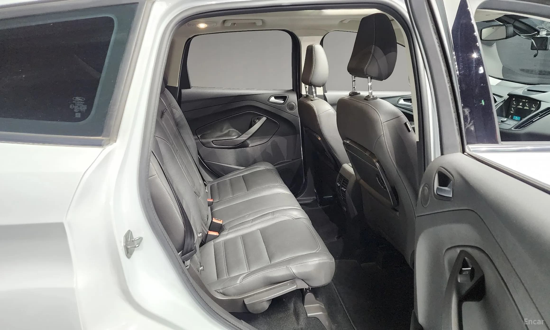 Cougar 2nd Generation