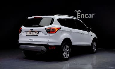 Cougar 2nd Generation