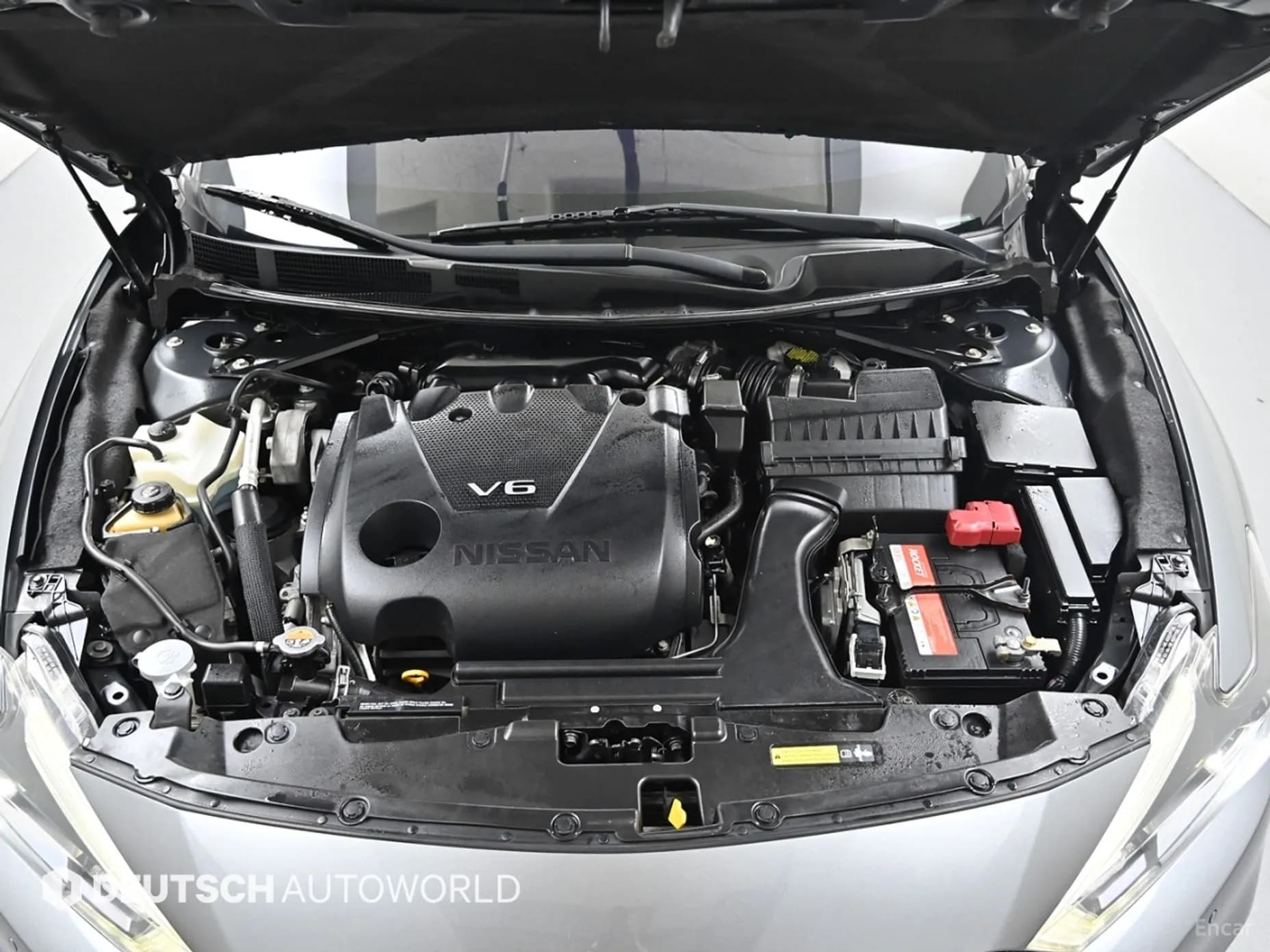 Maxima (A36)