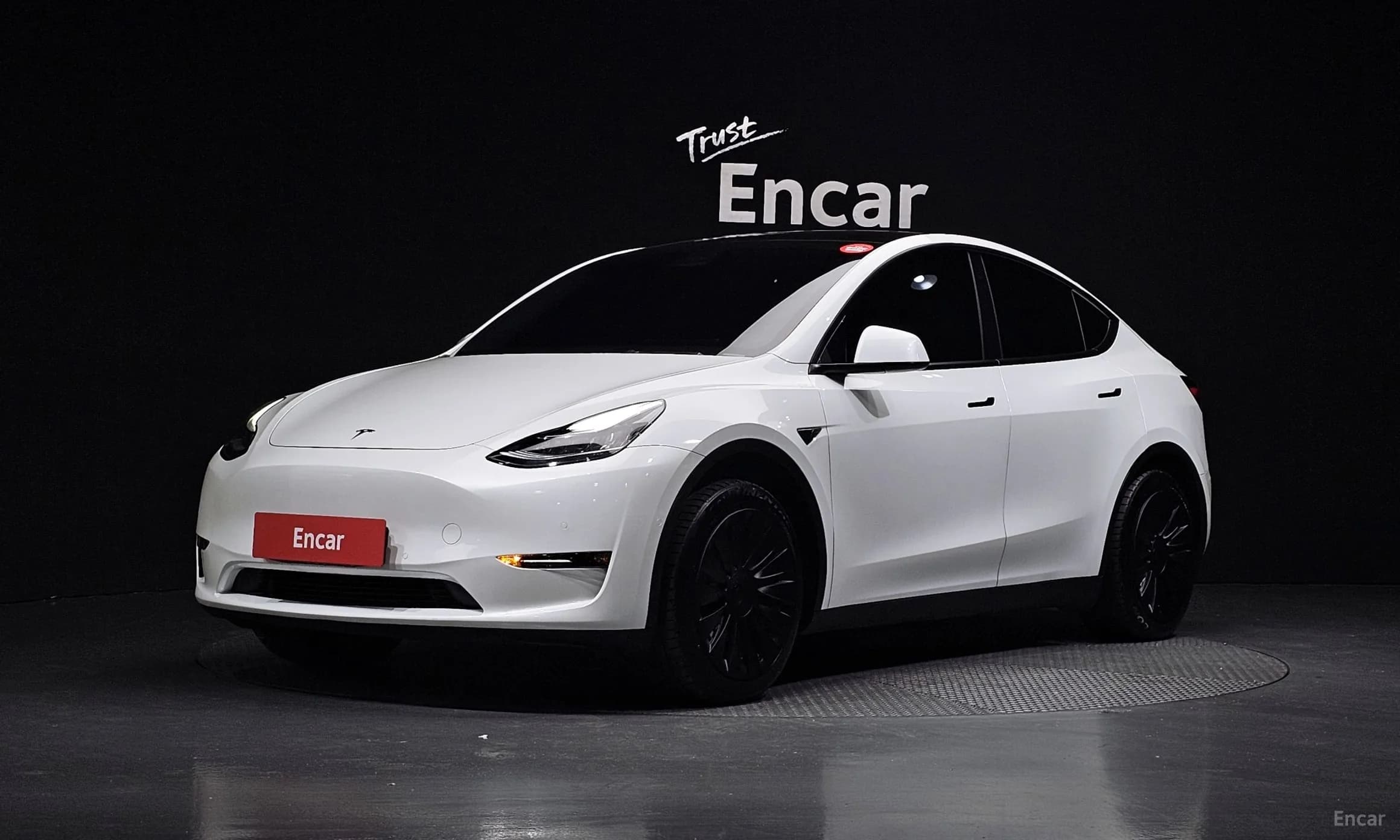 Model Y