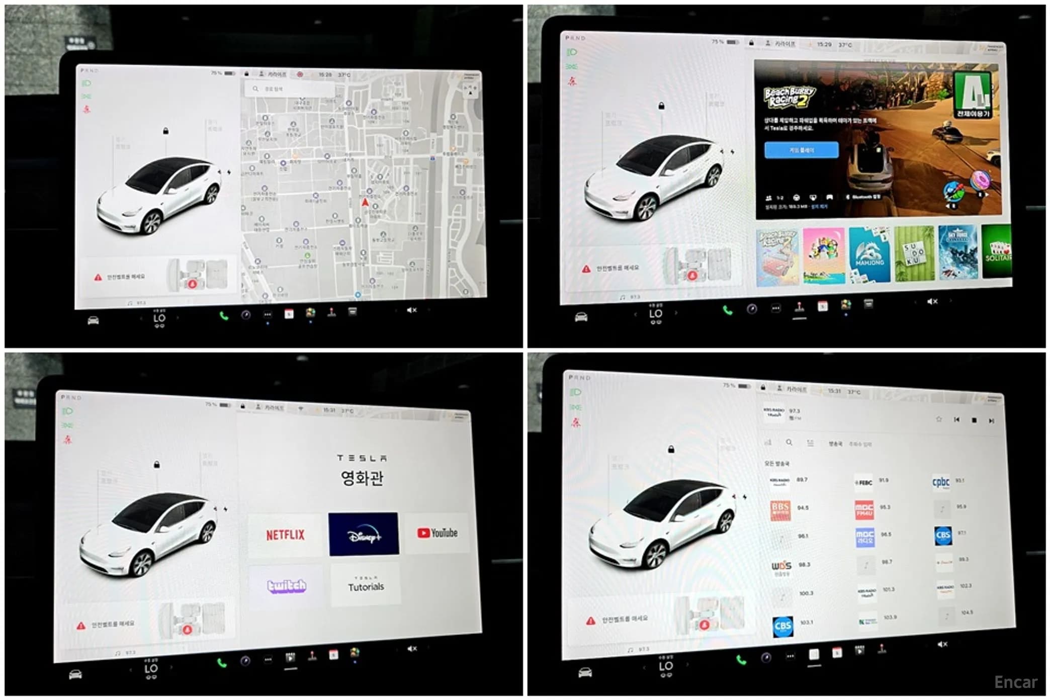 Model Y