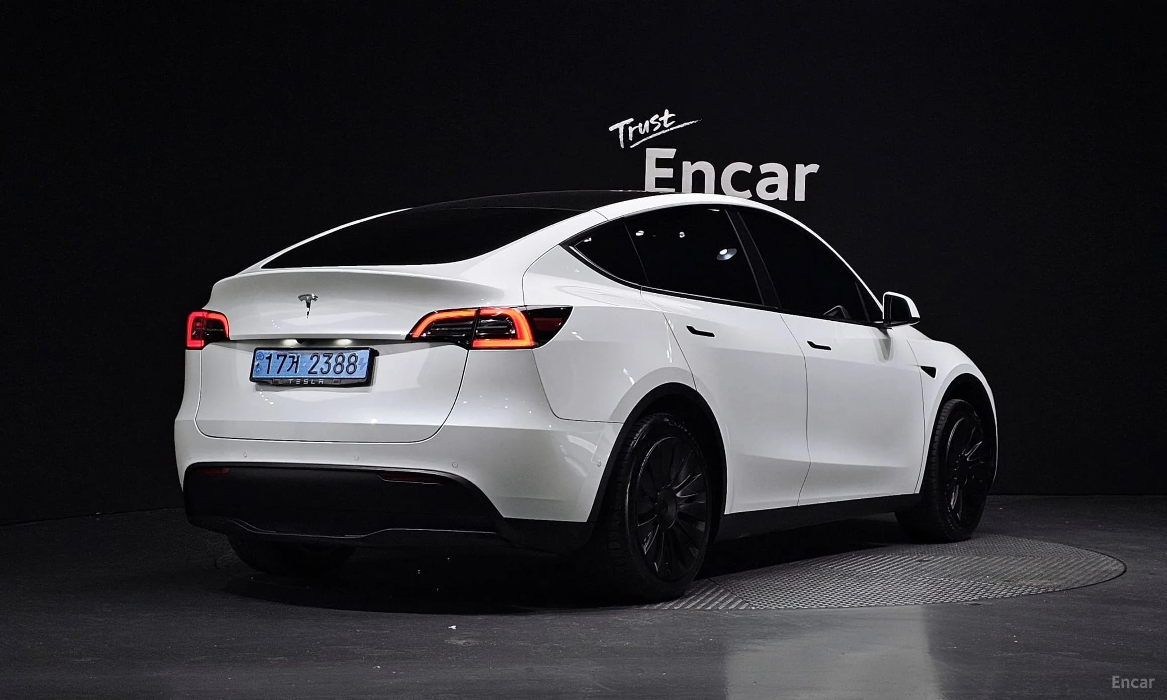 Model Y