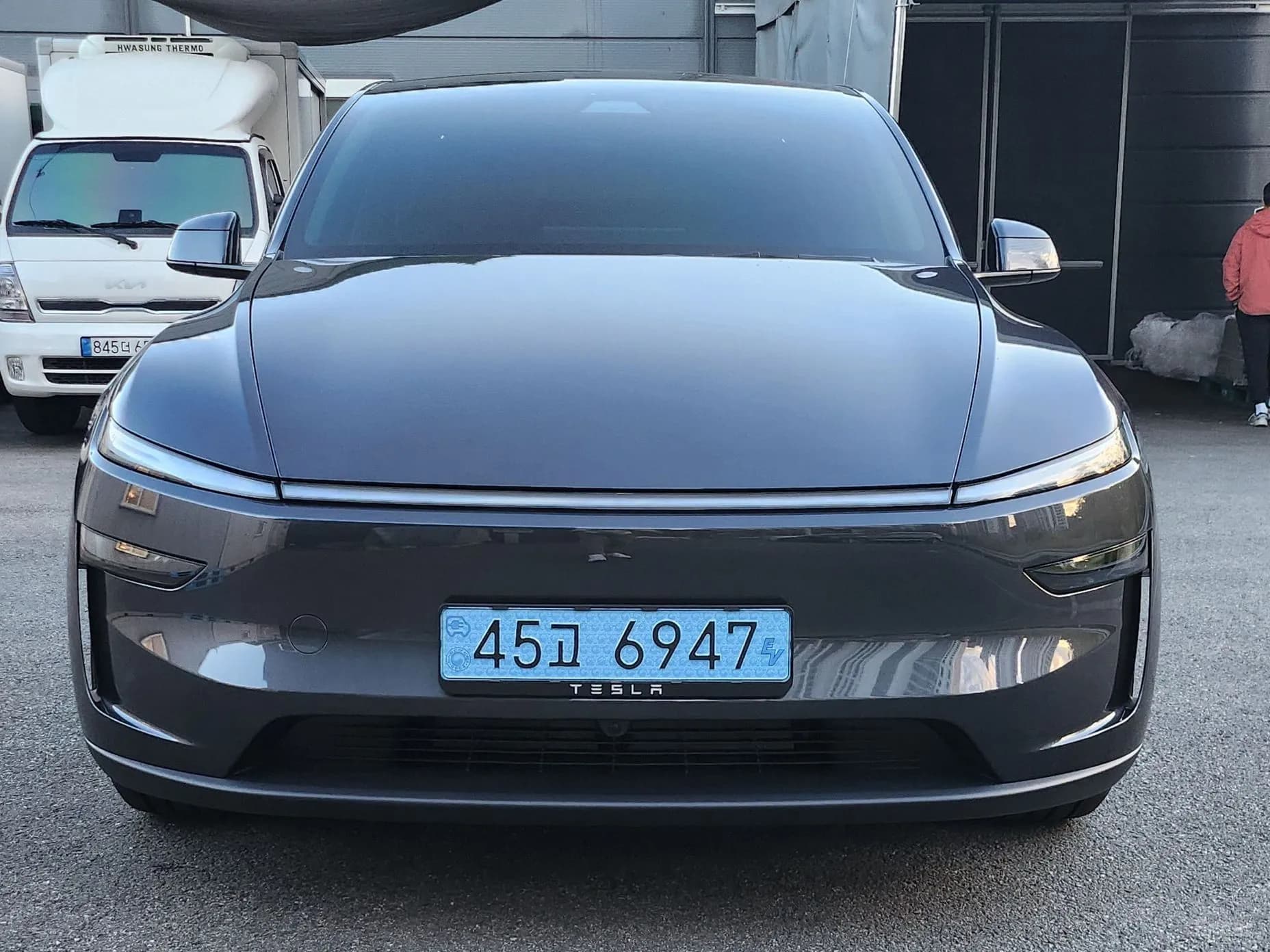 Model Y