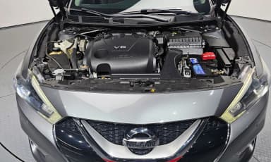 Maxima (A36)