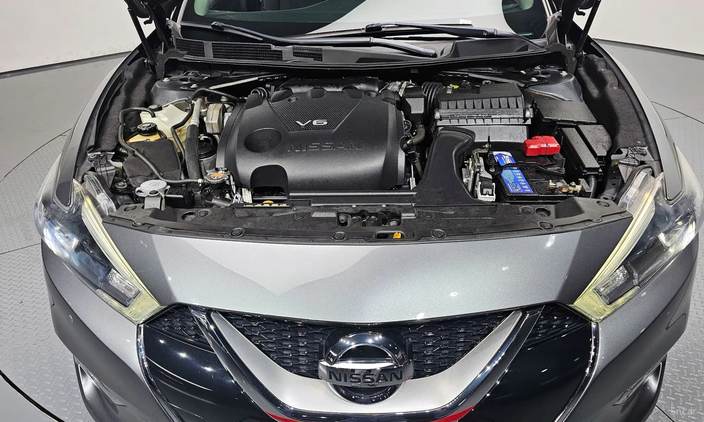 Maxima (A36)