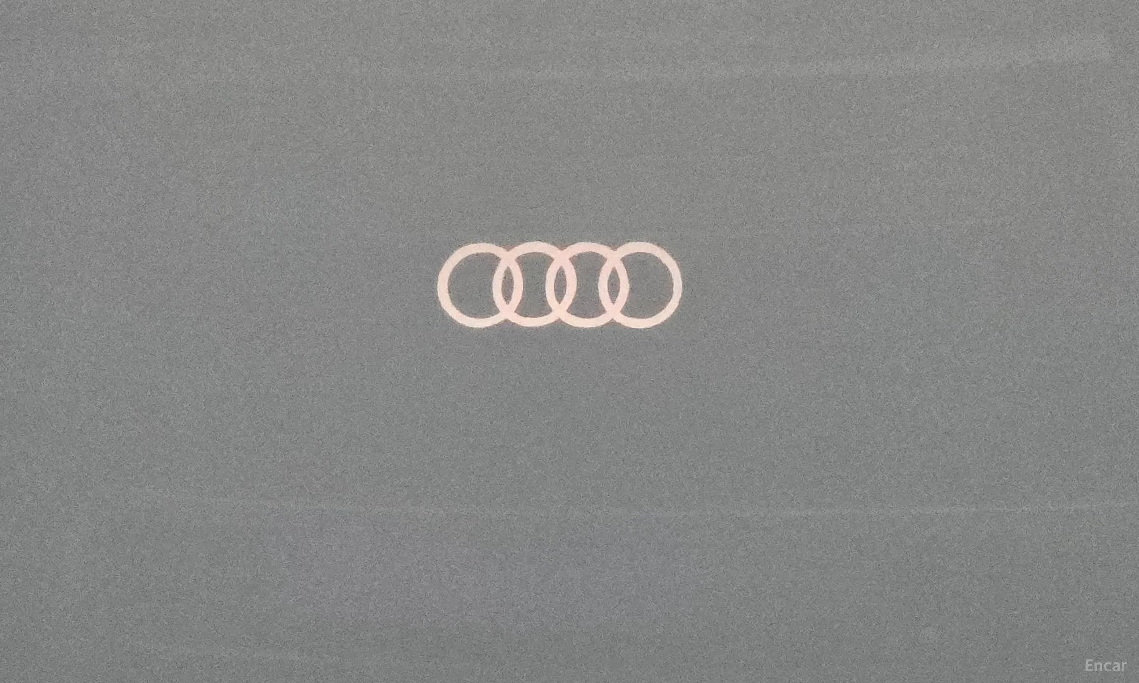 Q4 e-tron (F4)