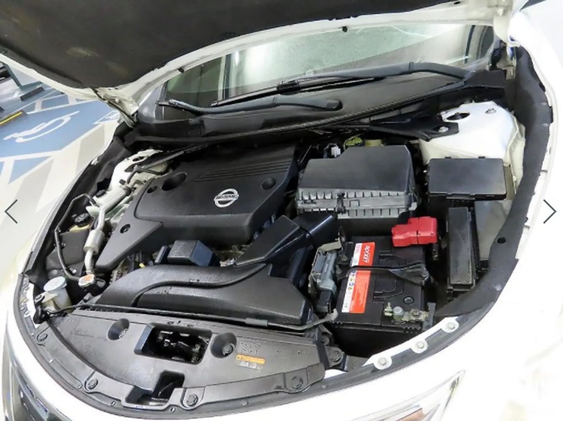 Altima