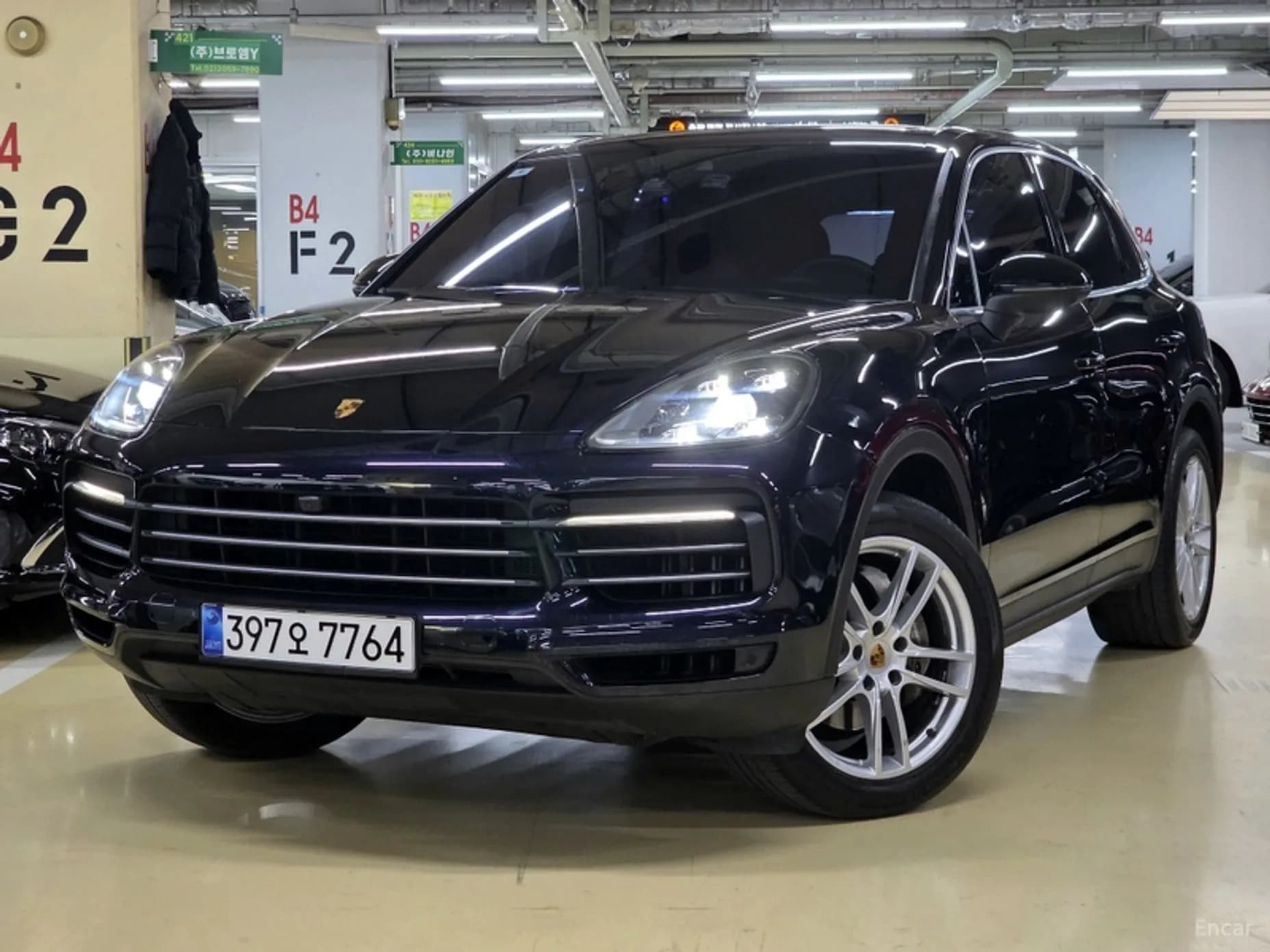 Cayenne (PO536)
