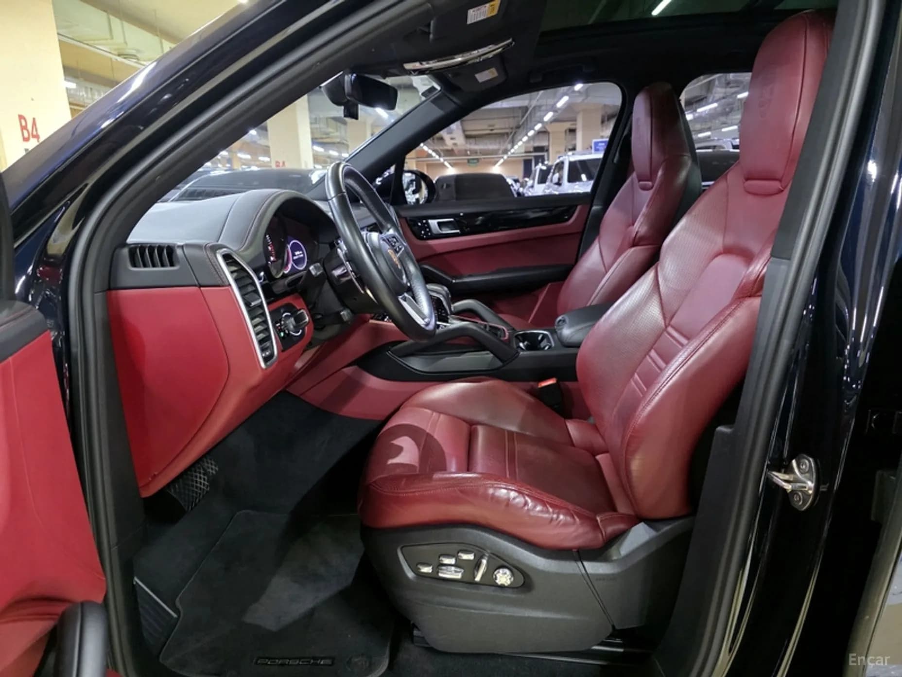 Cayenne (PO536)