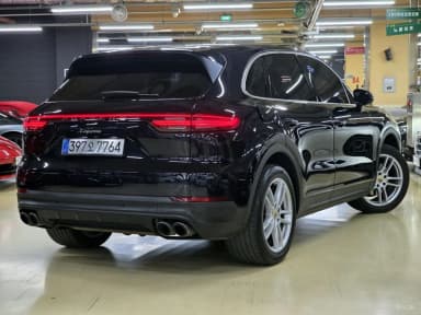Cayenne (PO536)