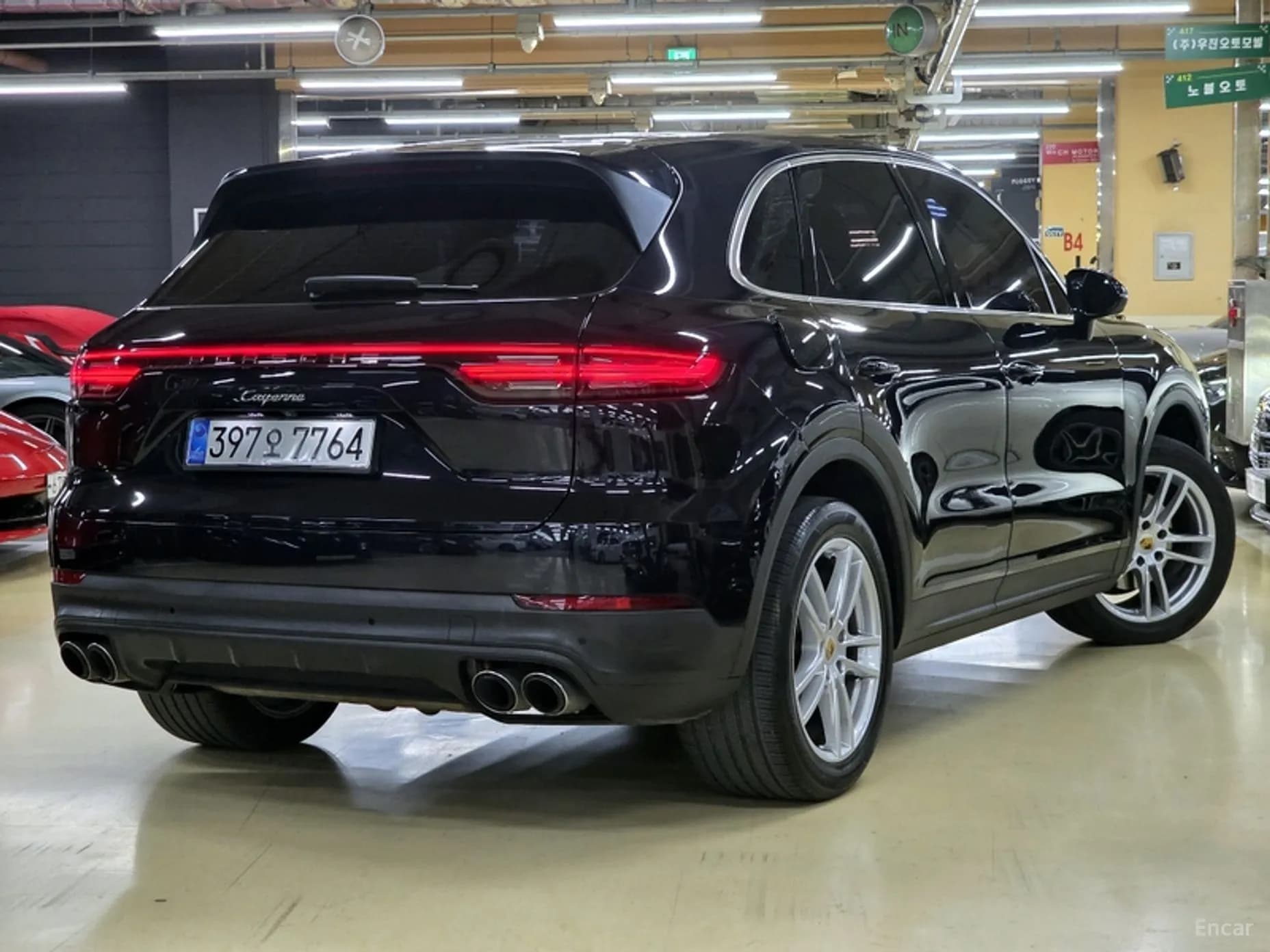 Cayenne (PO536)