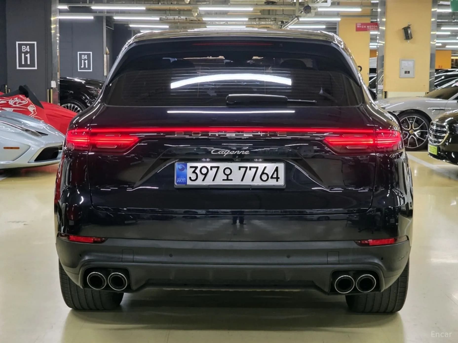 Cayenne (PO536)