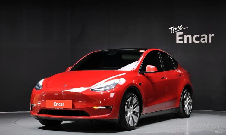 Model Y