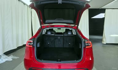 Model Y