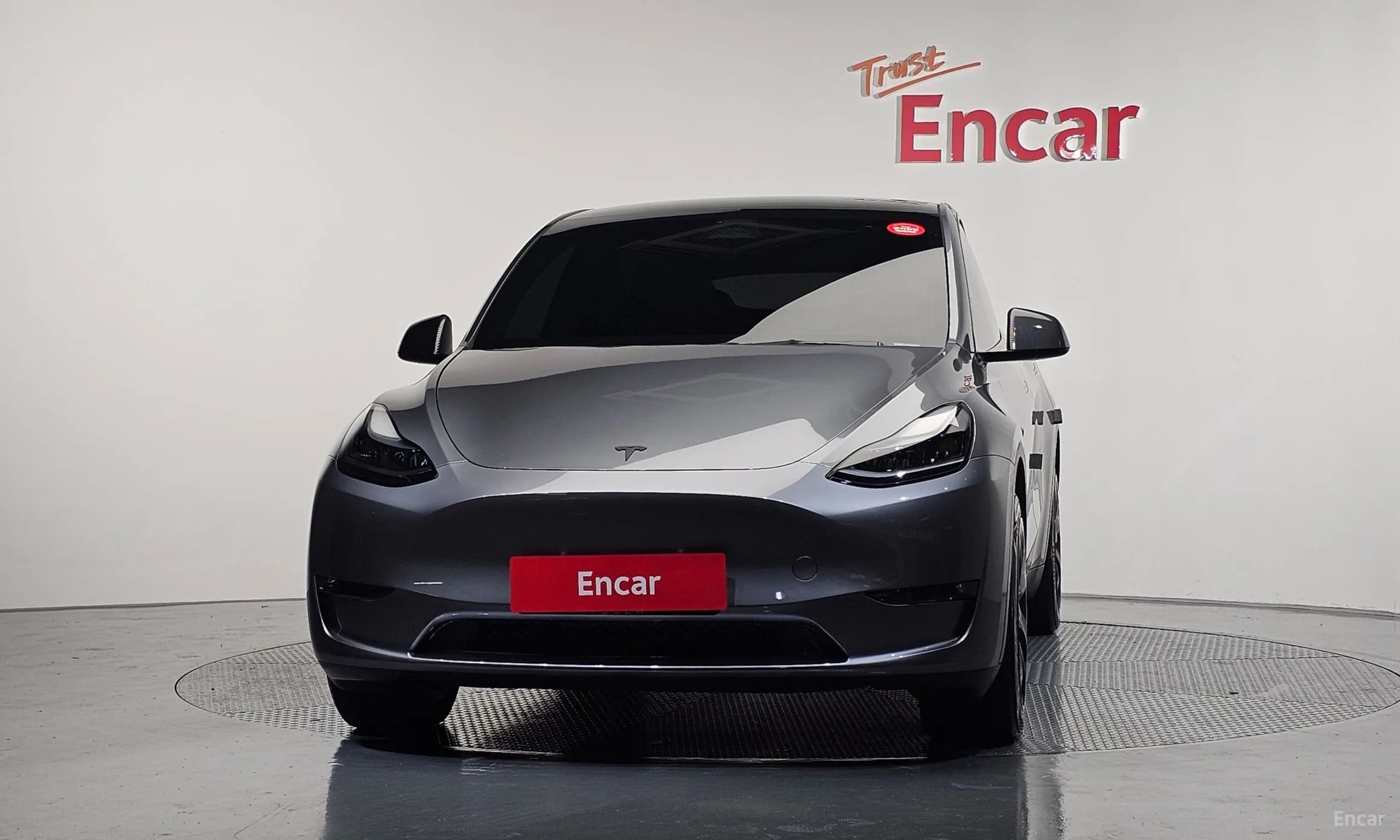 Model Y