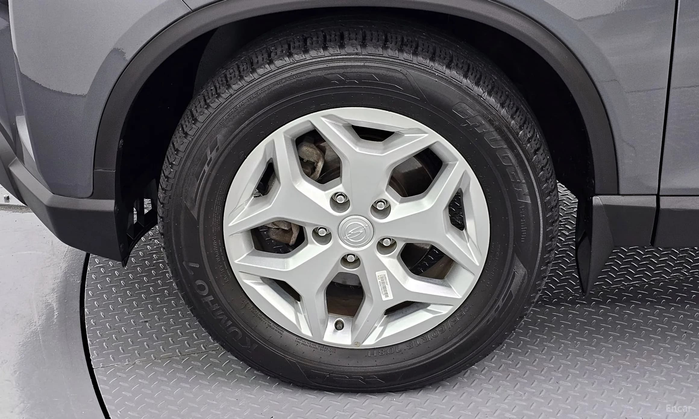 Rexton Sports