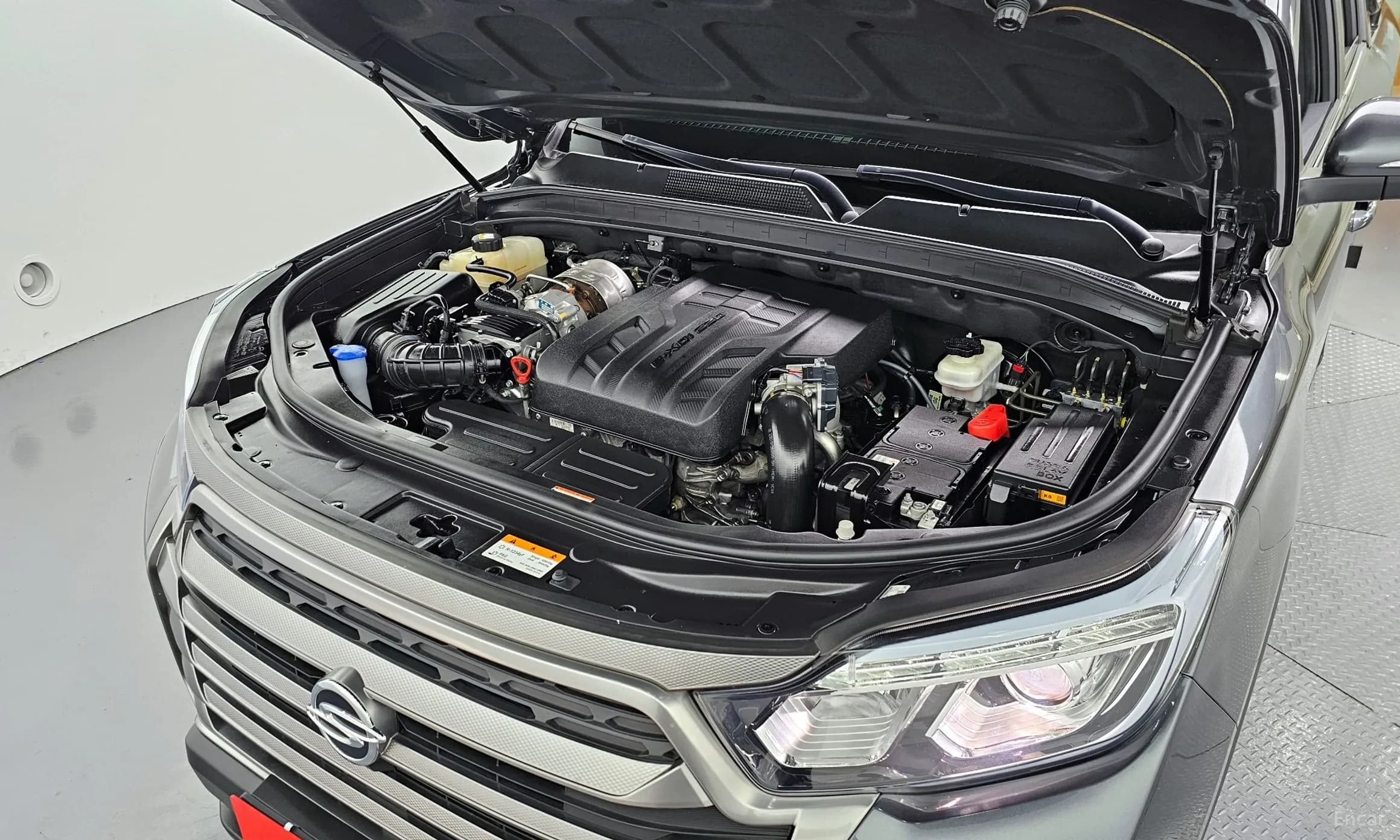 Rexton Sports