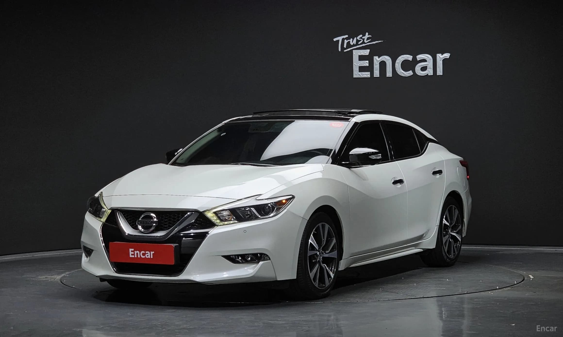 Maxima (A36)