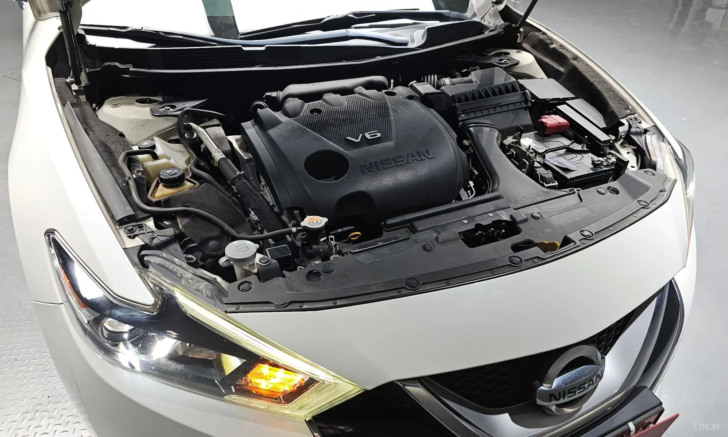 Maxima (A36)