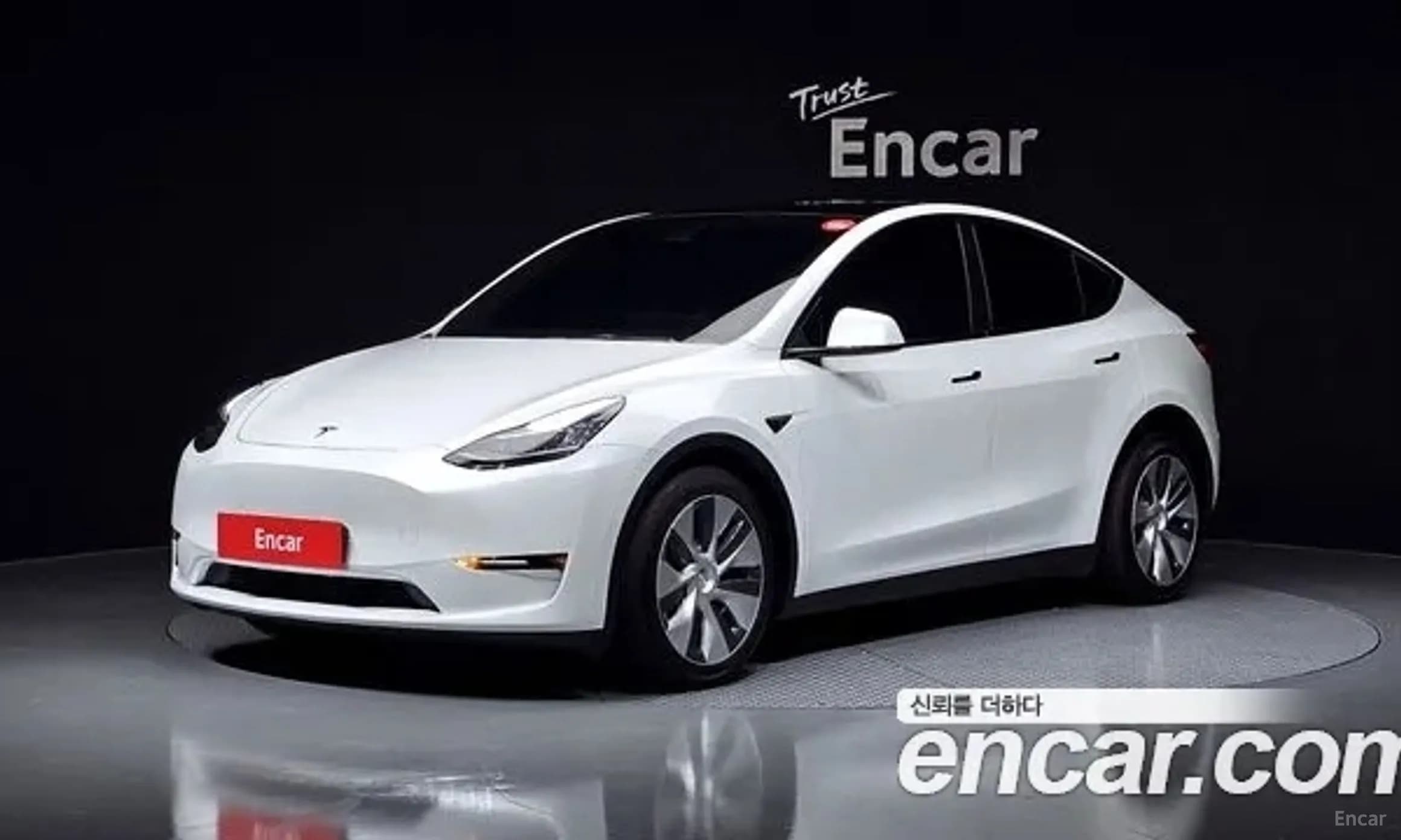 Model Y