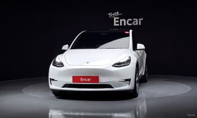 Model Y