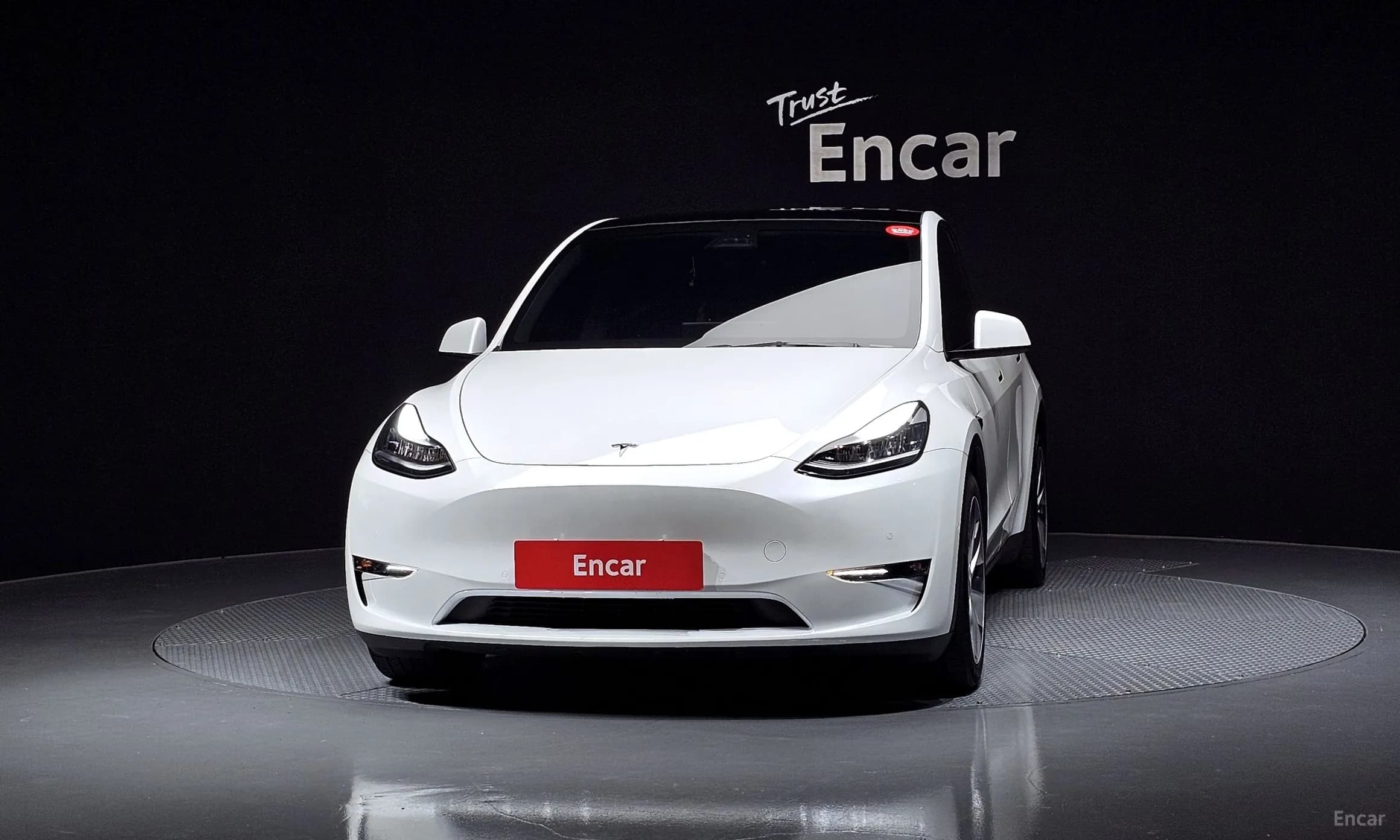 Model Y
