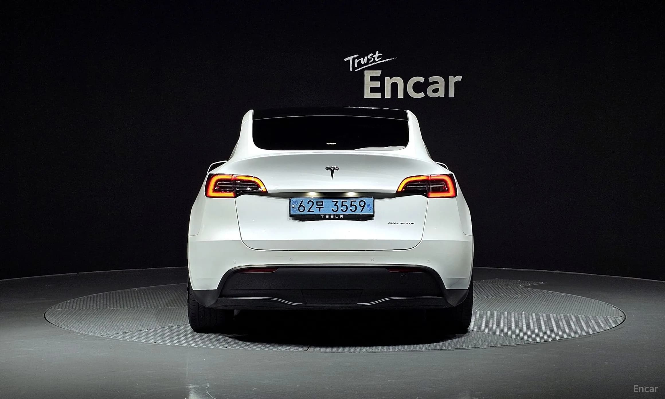 Model Y