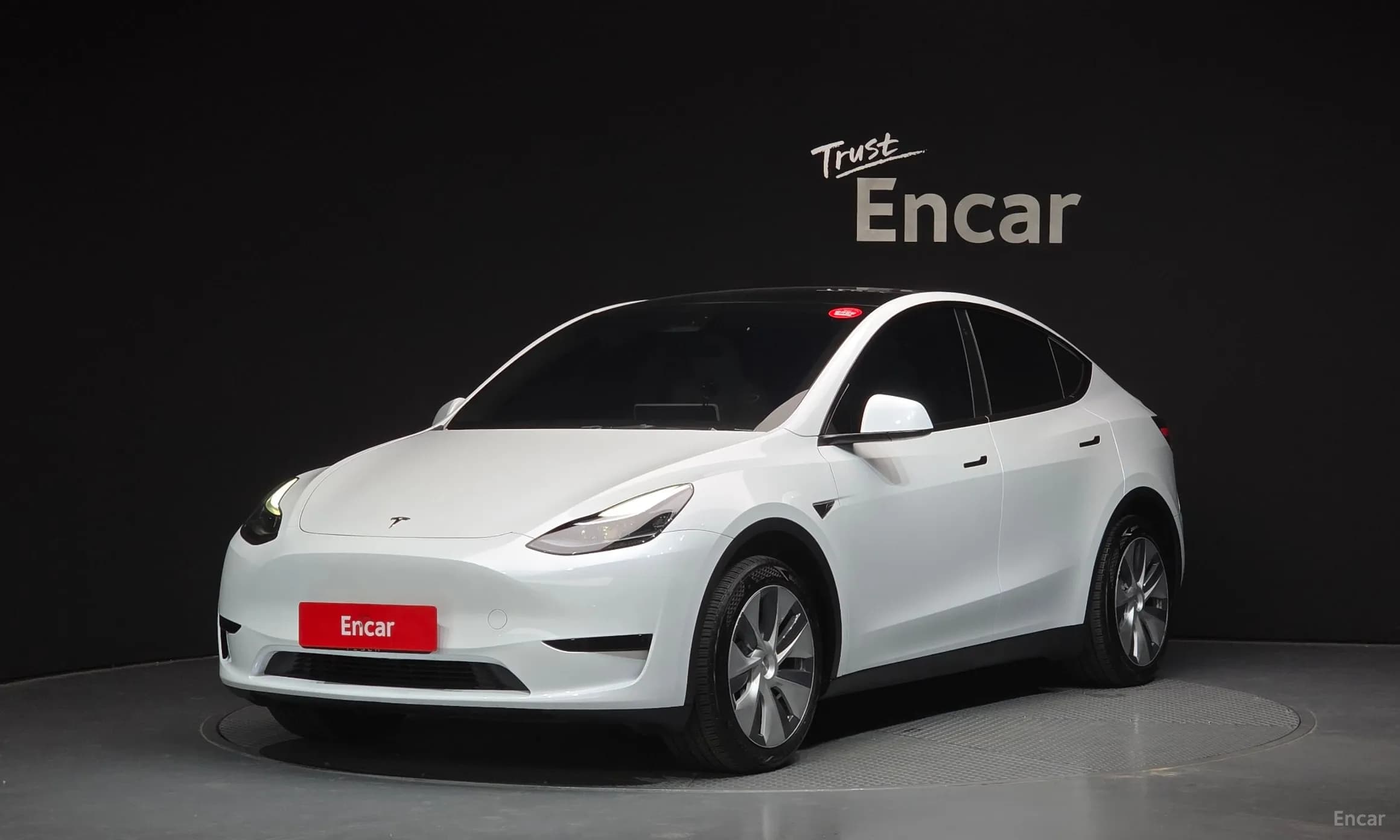 Model Y