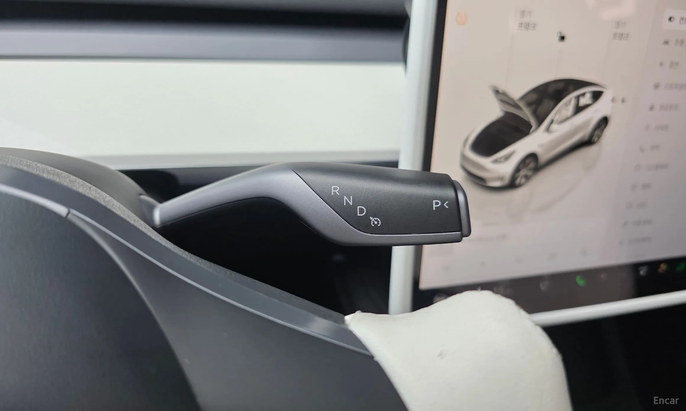 Model Y