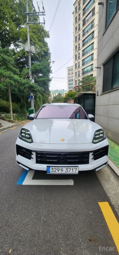 Cayenne (PO536)