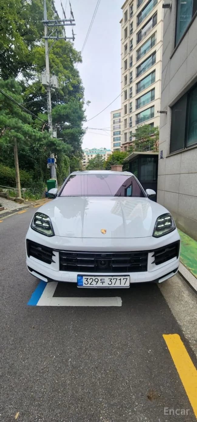 Cayenne (PO536)
