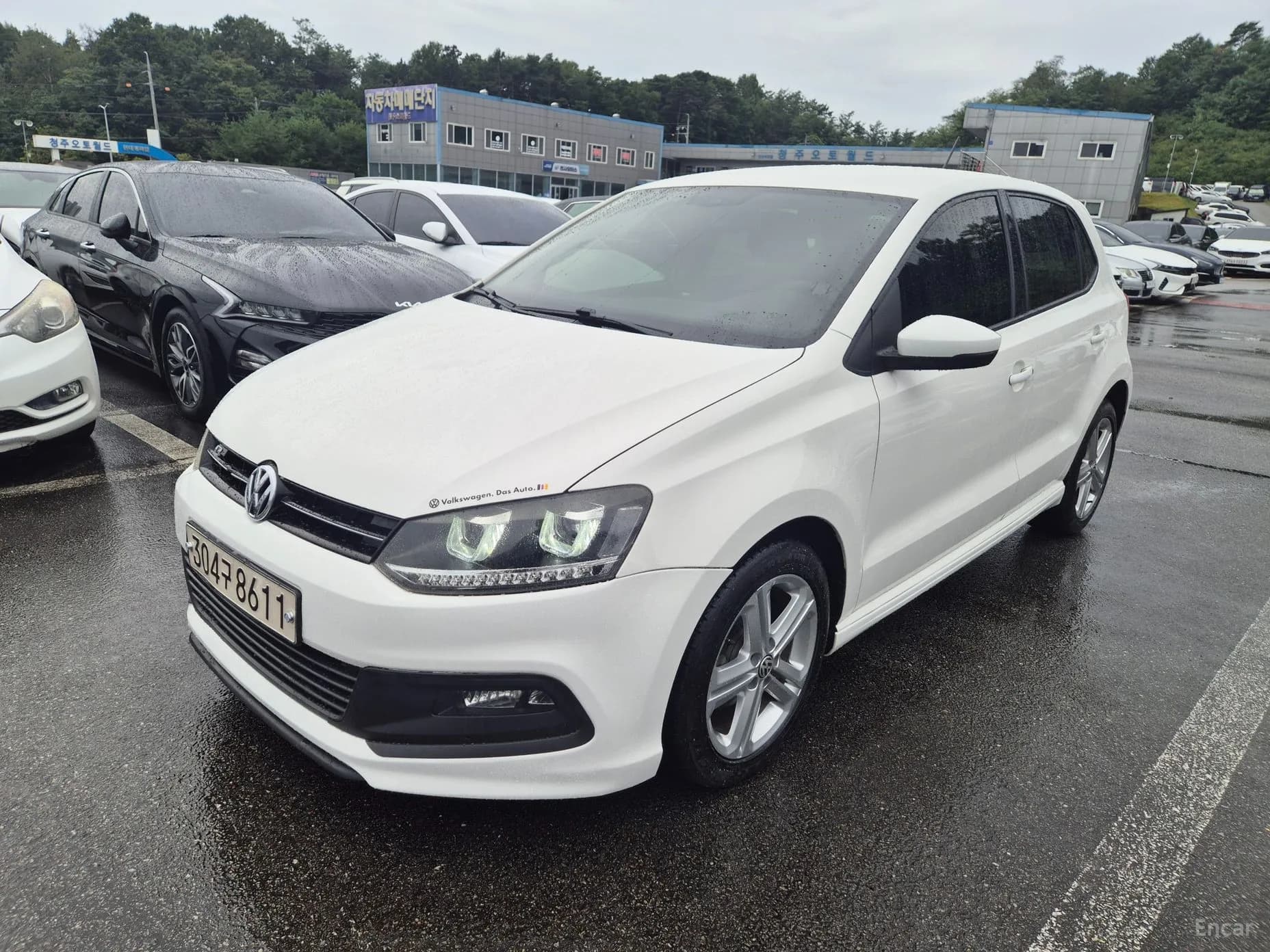 Polo