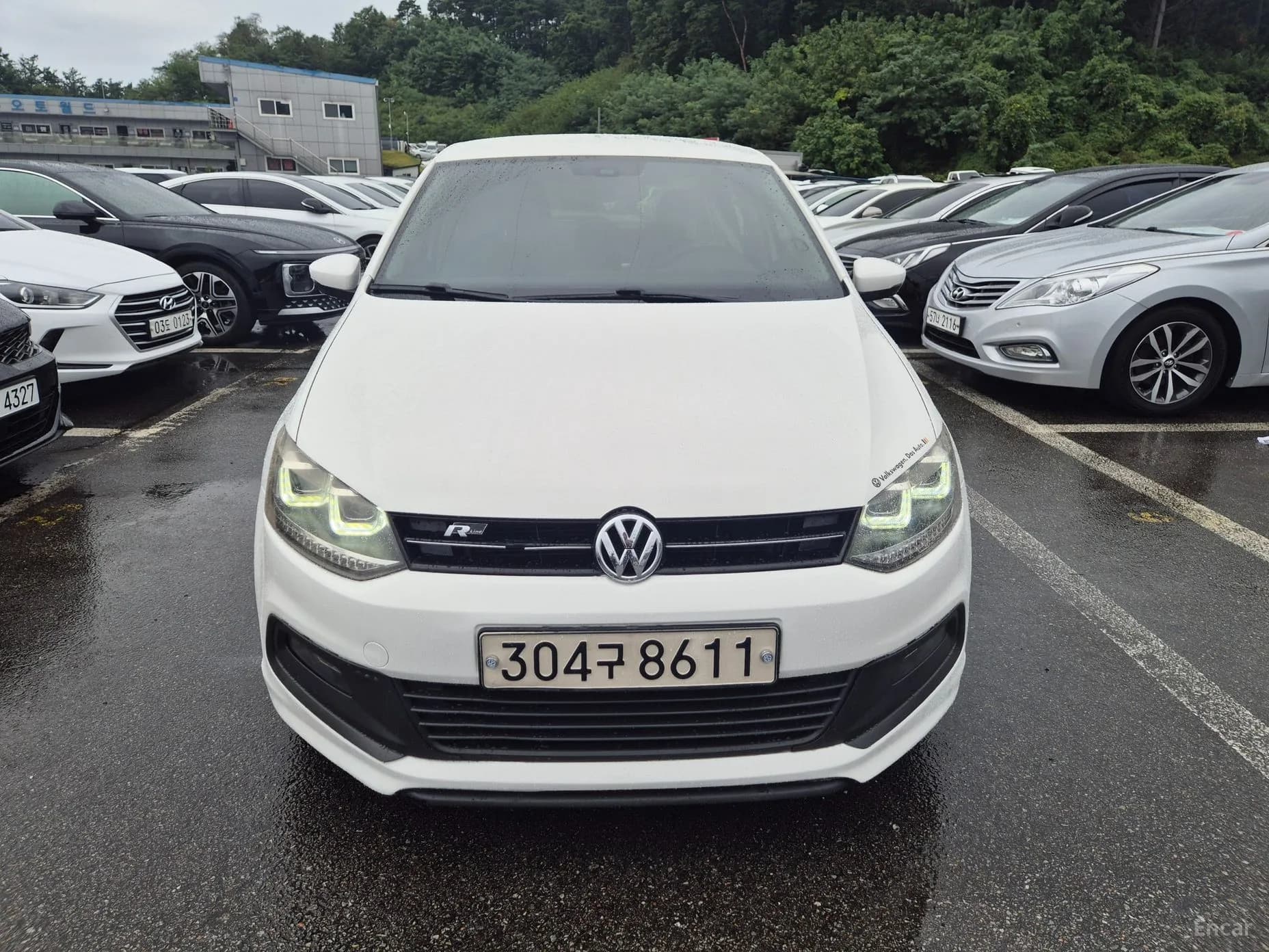 Polo