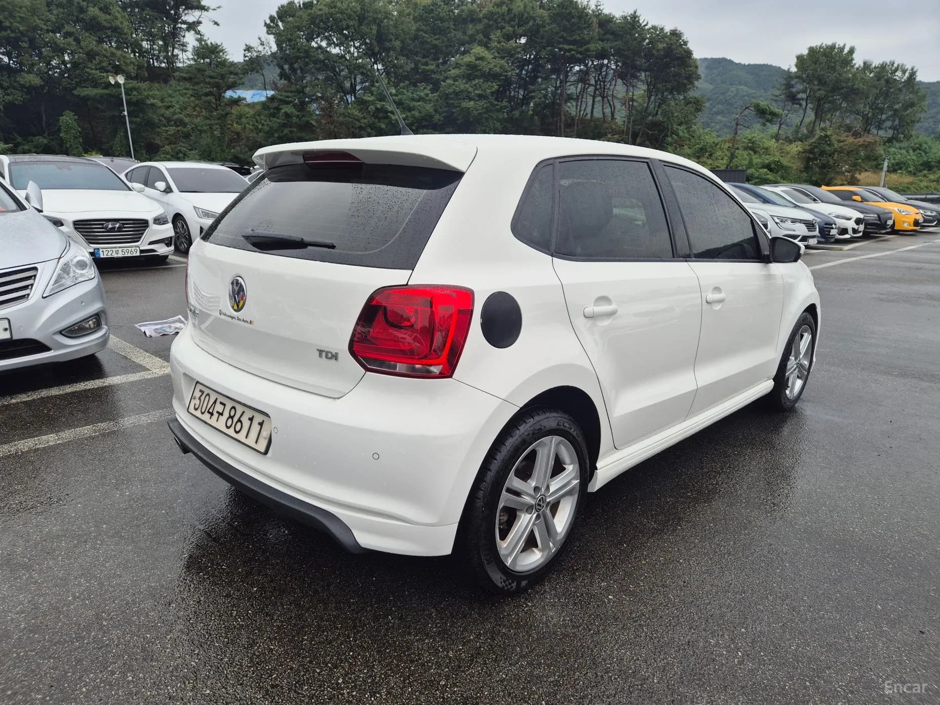 Polo