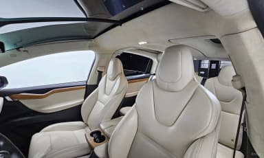 Model X