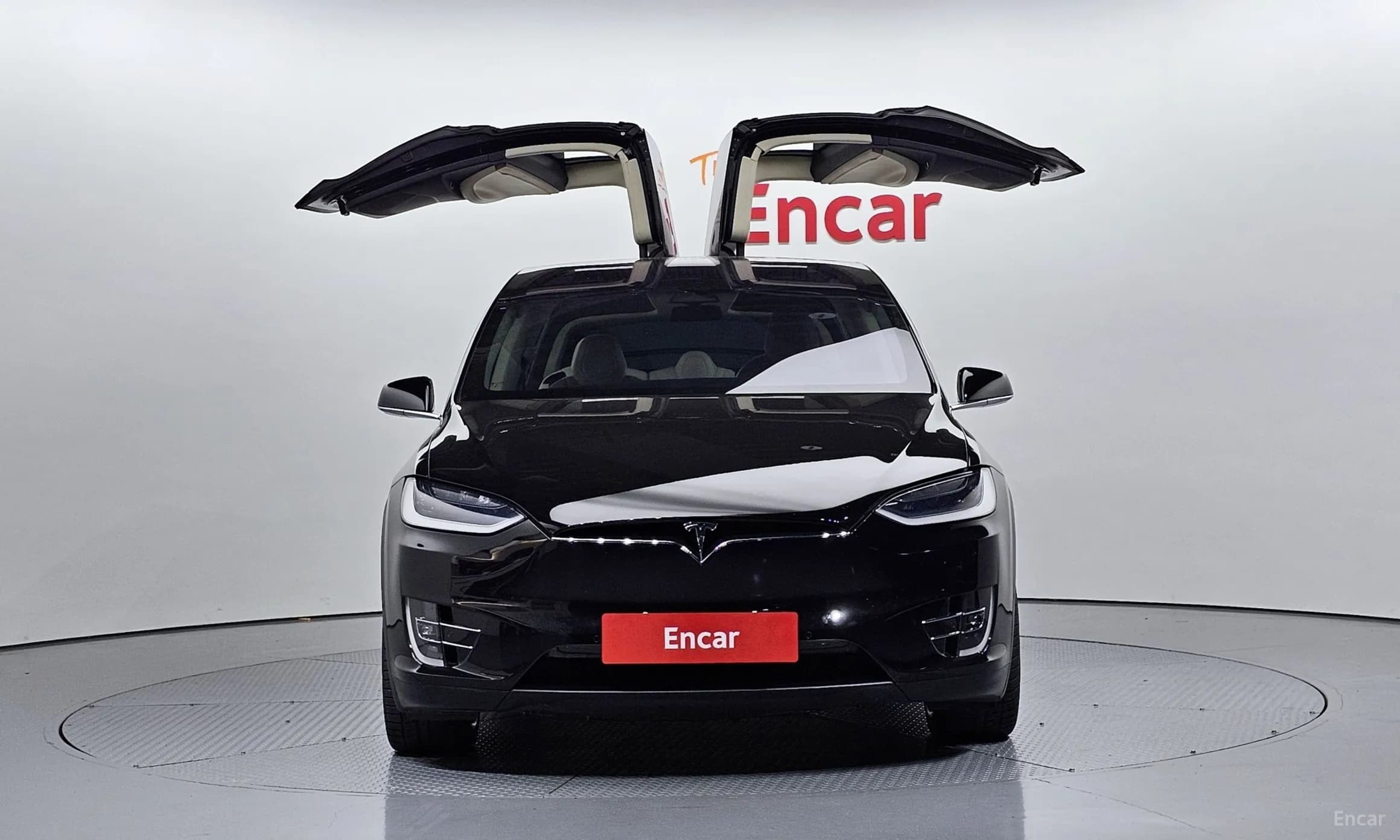 Model X
