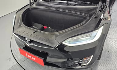 Model X