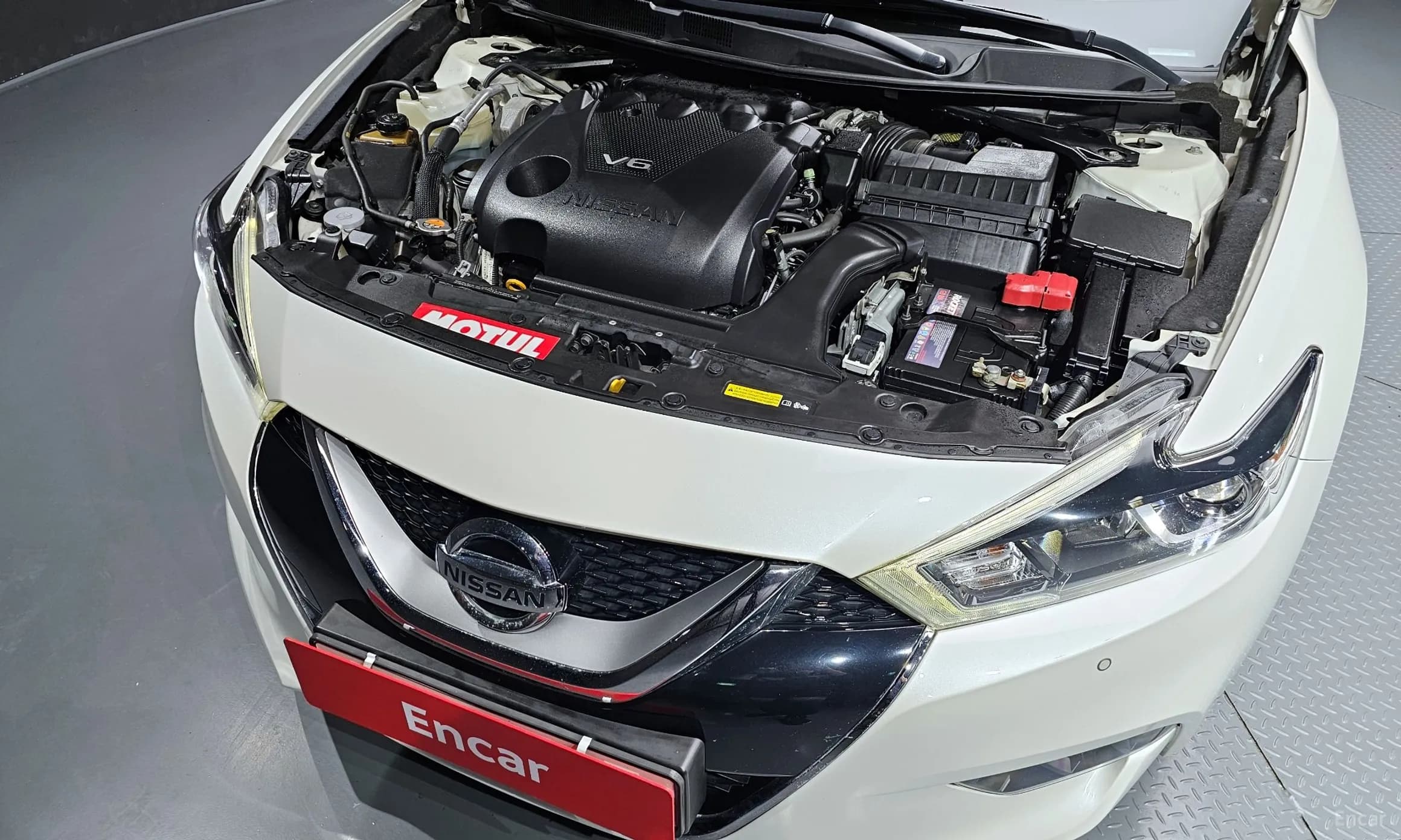 Maxima (A36)