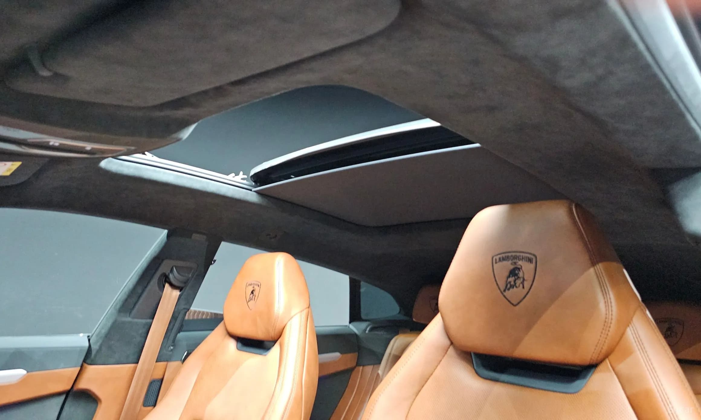 Urus