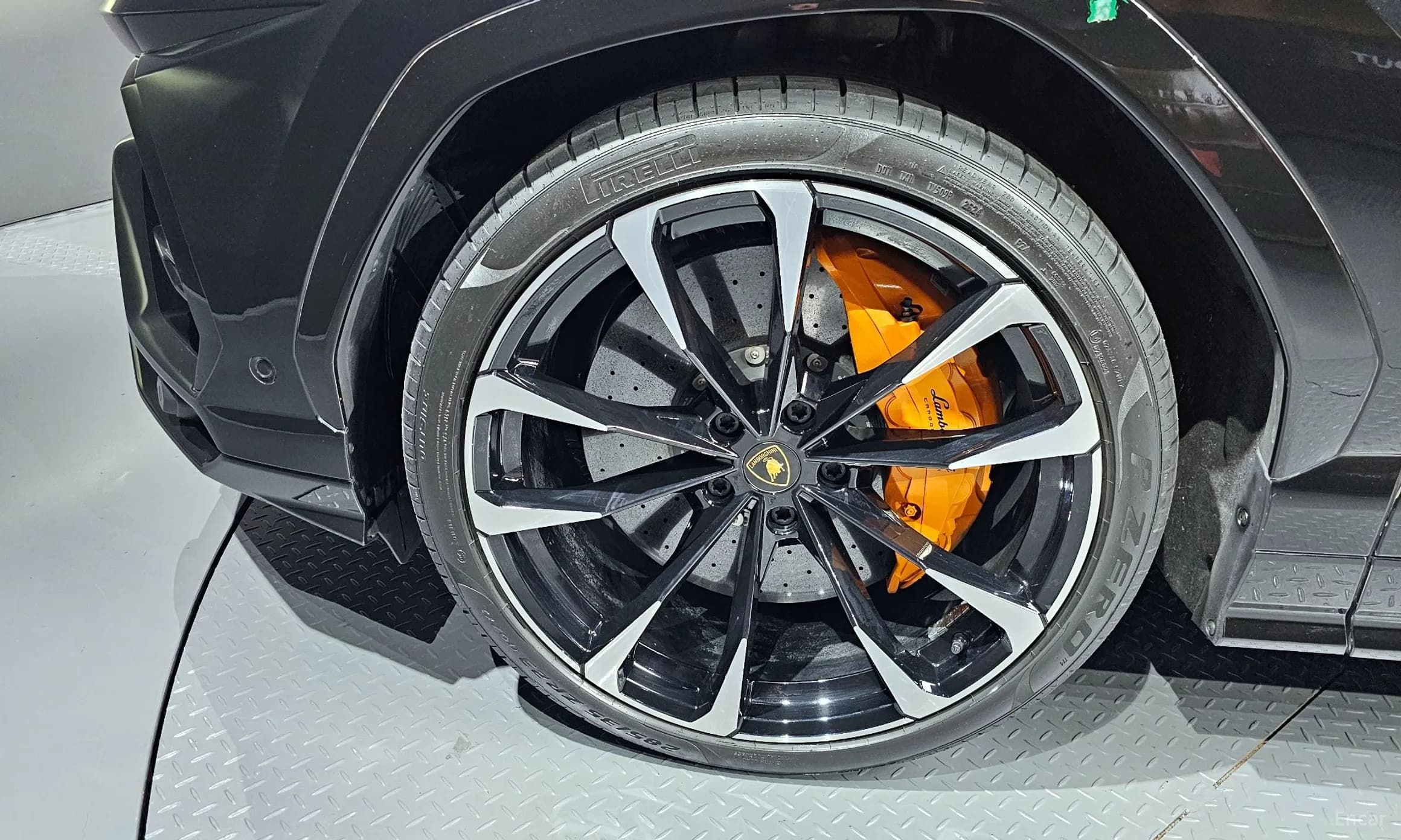 Urus