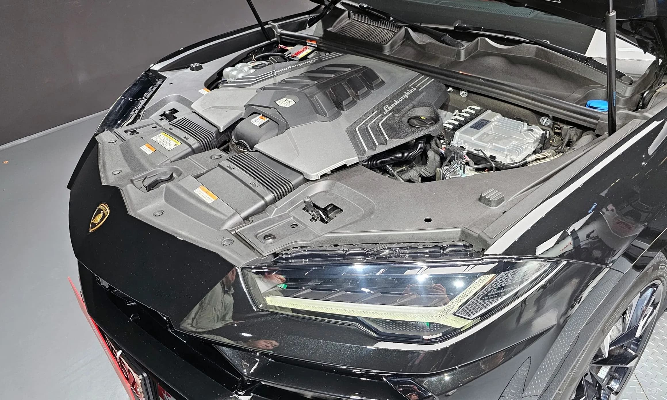 Urus