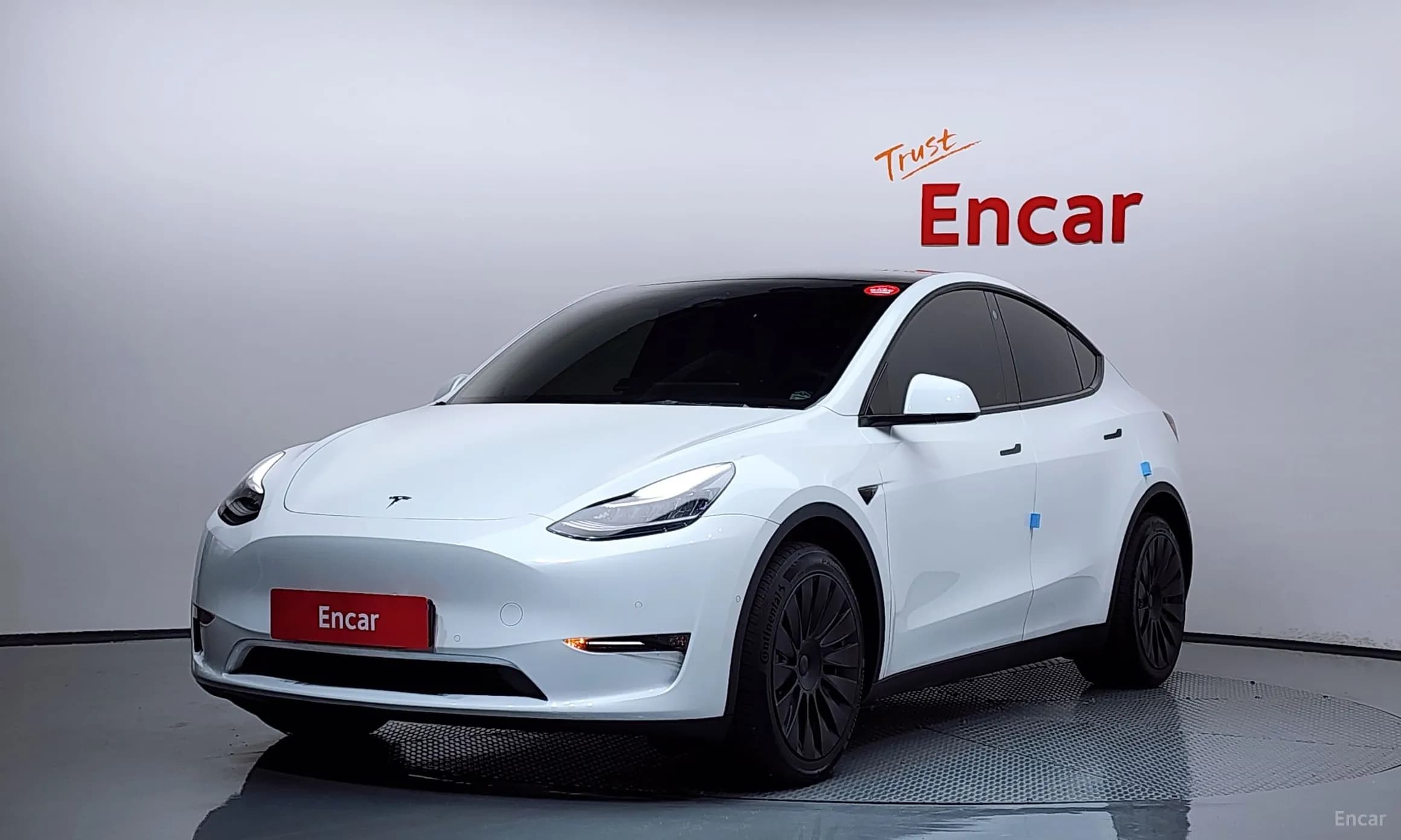 Model Y